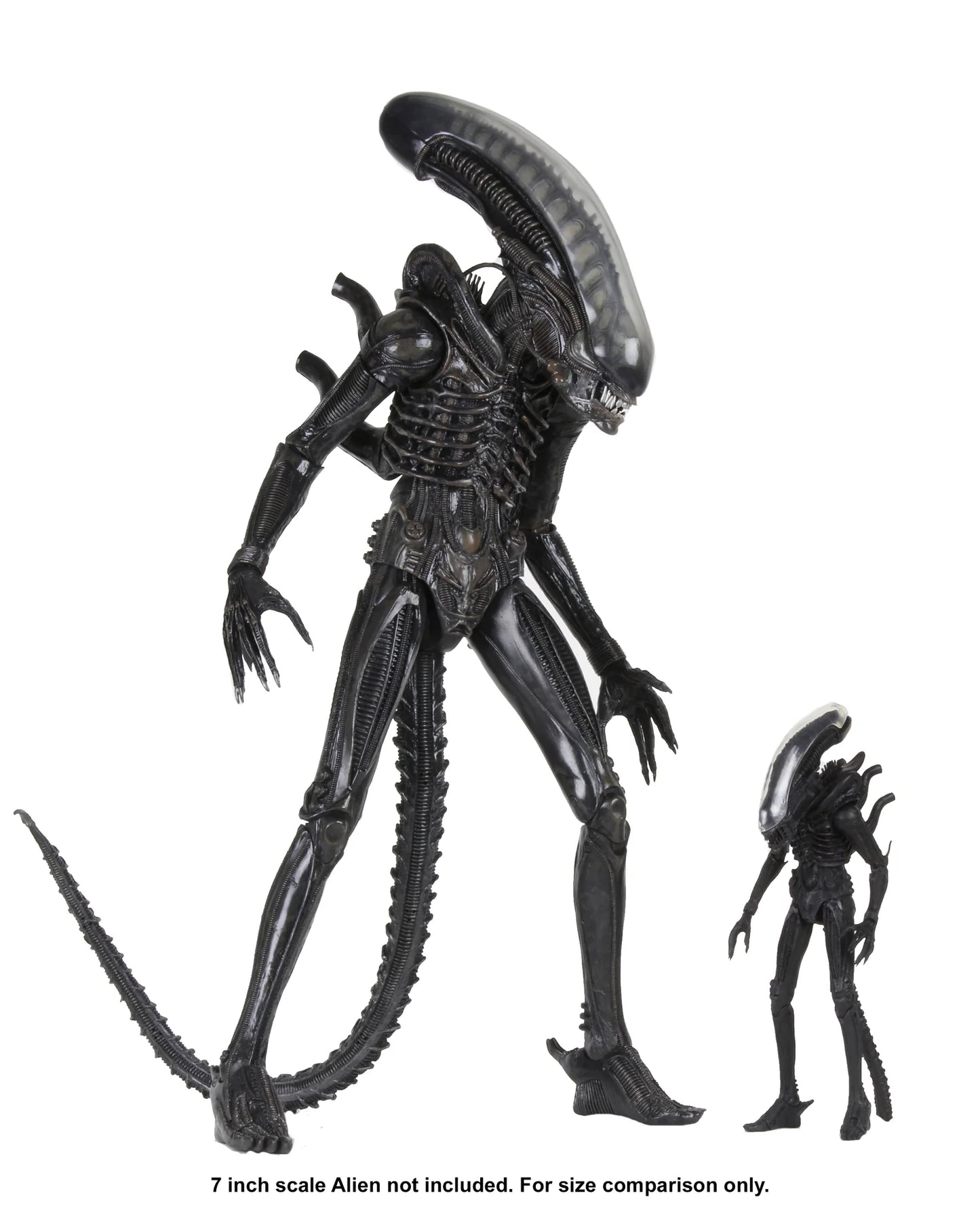 Alien "Big Chap" 1/4 Scale Poseable Figure