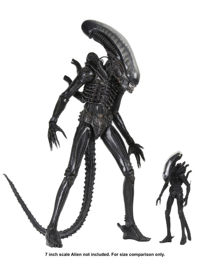 Alien "Big Chap" 1/4 Scale Poseable Figure