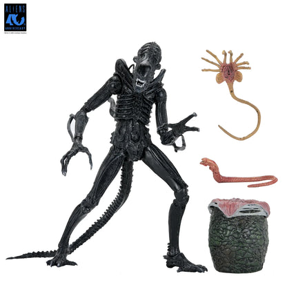 Aliens Ultimate Xenomorph Warrior 7" Figure [Aliens 40th Anniversary]