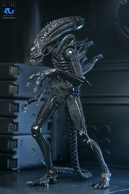Aliens Ultimate Xenomorph Warrior 7" Figure [Aliens 40th Anniversary]