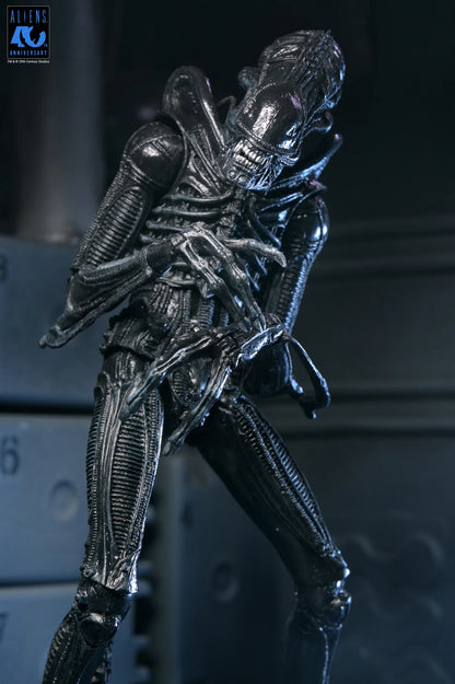 Aliens Ultimate Xenomorph Warrior 7" Figure [Aliens 40th Anniversary]