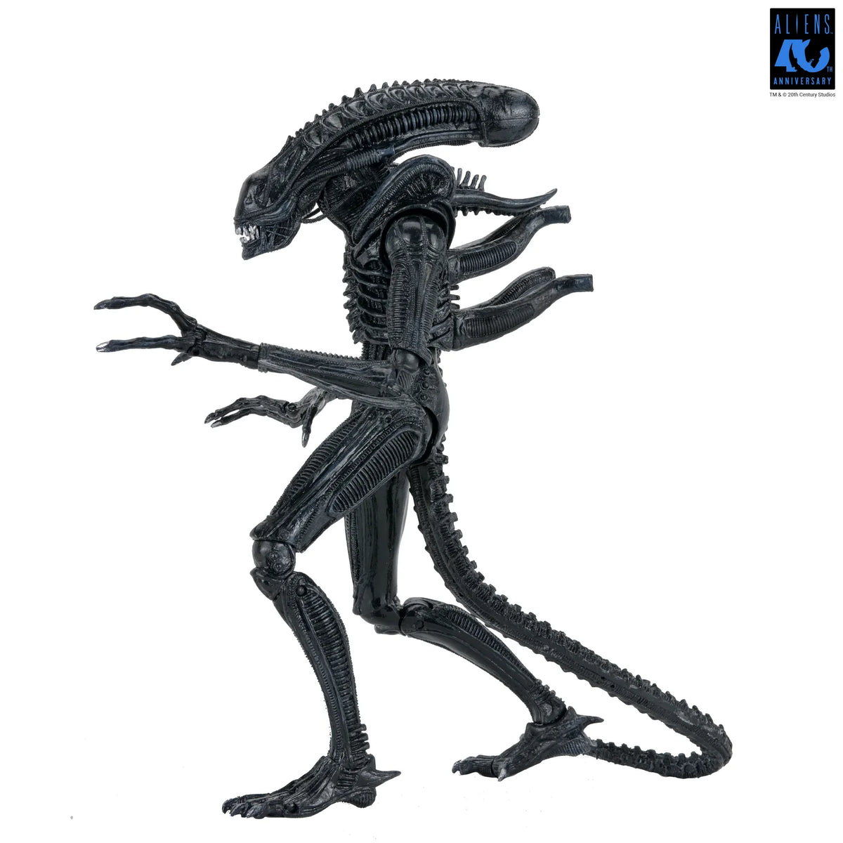 Aliens Ultimate Xenomorph Warrior 7" Figure [Aliens 40th Anniversary]