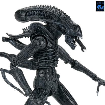 Aliens Ultimate Xenomorph Warrior 7" Figure [Aliens 40th Anniversary]
