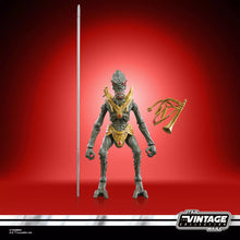 Star Wars The Vintage Collection Orray & Geonosian Picador
