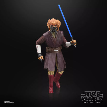 Star Wars The Black Series Plo Koon & Clone Commander Wolffe [Clones of the Republic]