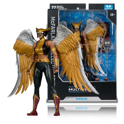 DC Multiverse Hawkgirl (Kendra Saunders) [McFarlane Collector Edition #63]