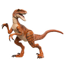 Jurassic Park Hammond Collection Velociraptor (Tiger) Dinosaur [The Lost World]